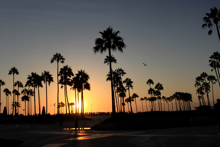 tramonto a Venice beach